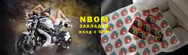 дмт Богданович