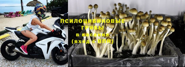 амф Беломорск