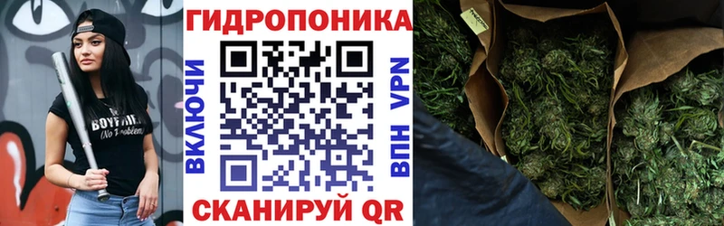 Шишки марихуана Bruce Banner  Минеральные Воды 